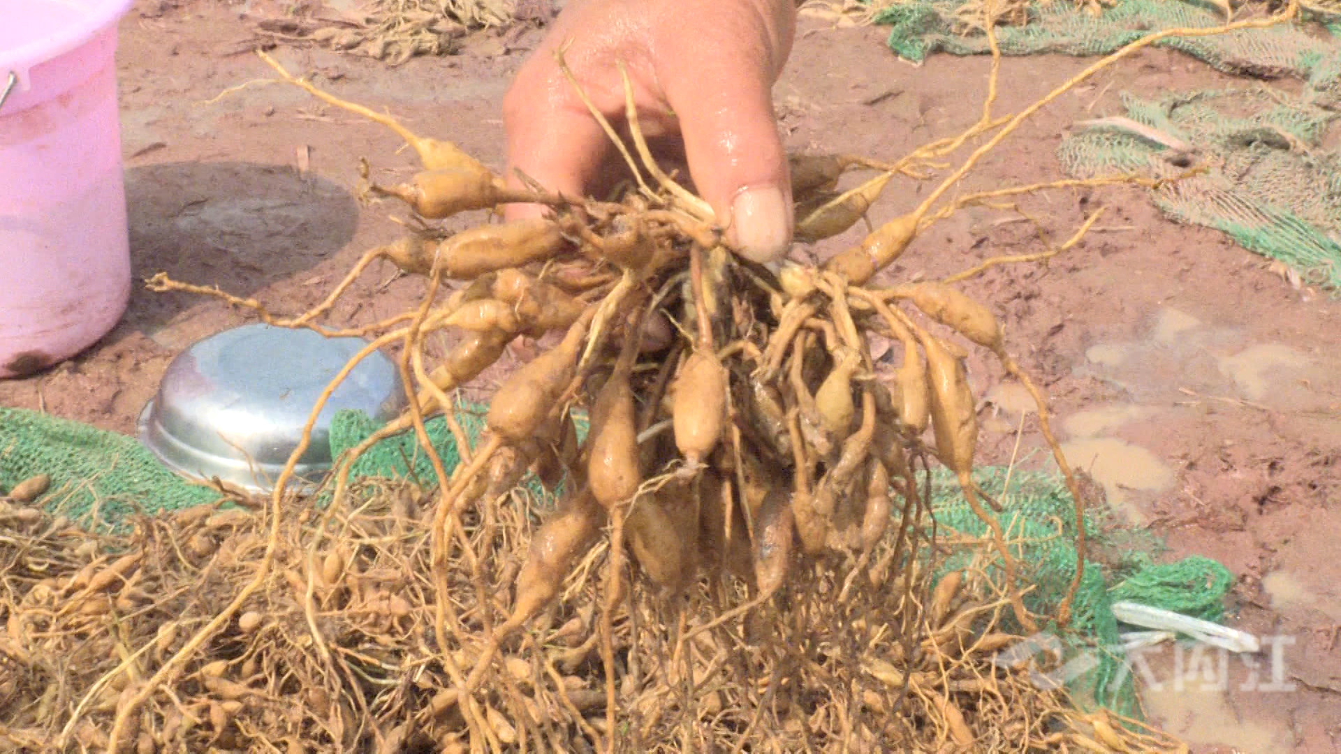 281876_1620701685456904.jpg 微信图片_20210511104857.jpg