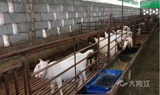 281876_1620809939720915.png 微信图片_20210512165824.png