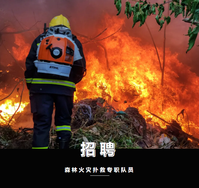 灭火瓶.png