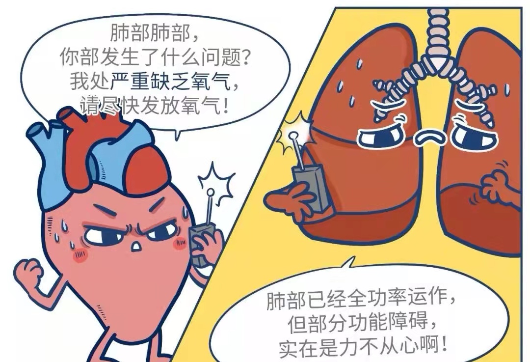 图3.jpg