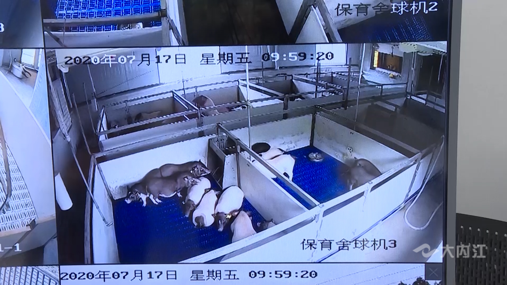 282035_1640159407186003.jpg 微信图片_20211222154902.jpg