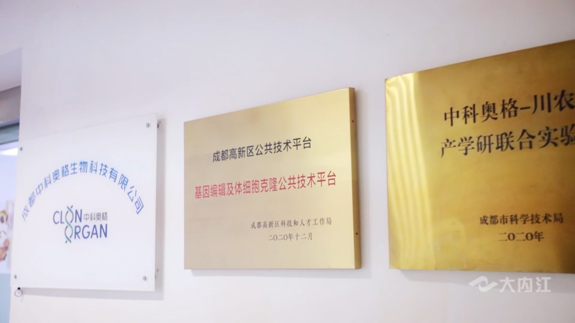 282035_1640159429307126.jpg 微信图片_20211222154909.jpg