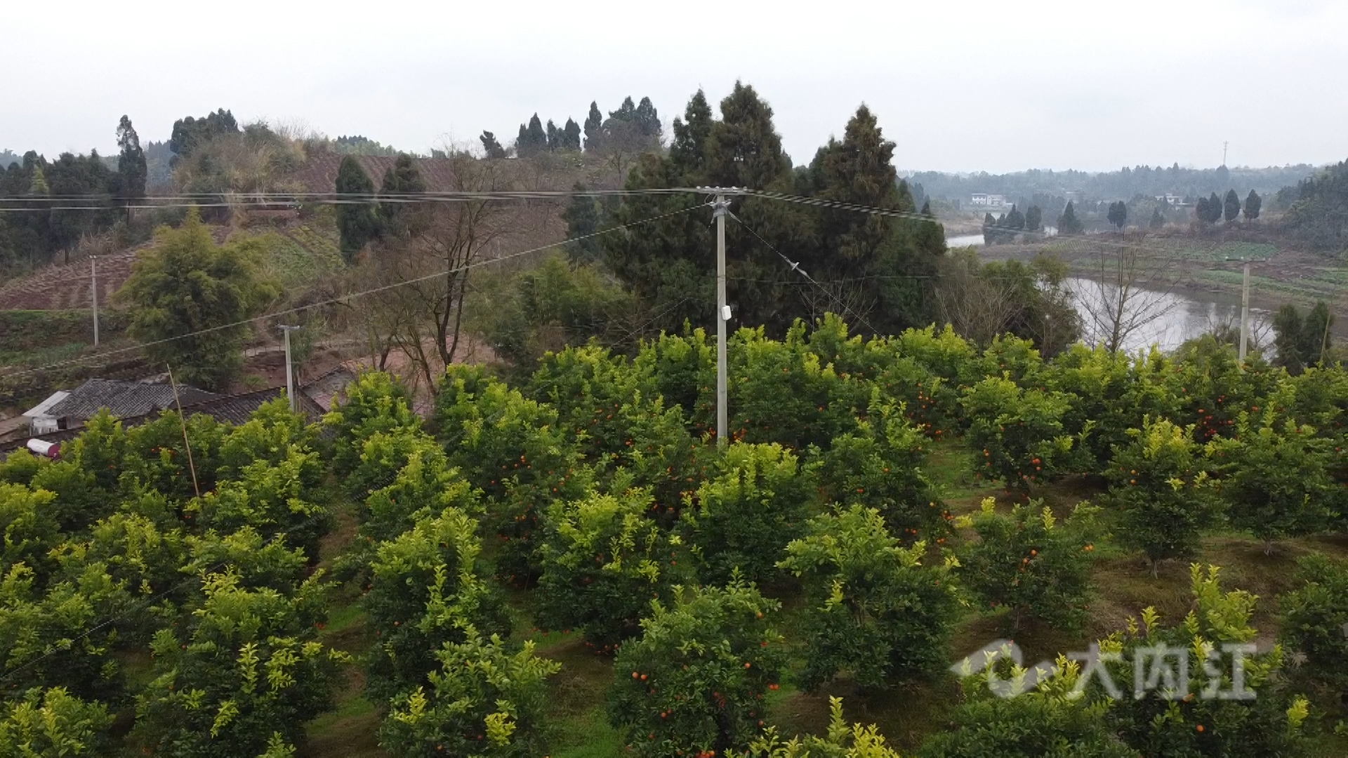 新媒体 首席技师彭波.00_00_11_12.静止007.jpg