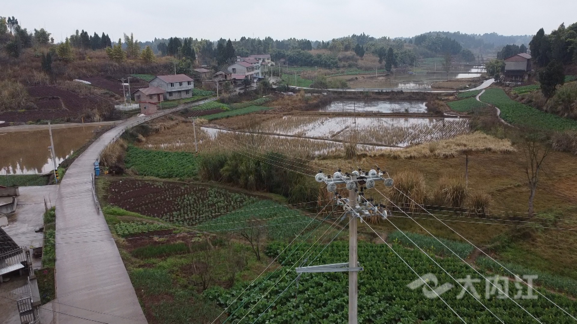 新媒体 首席技师彭波.00_00_03_07.静止006.jpg