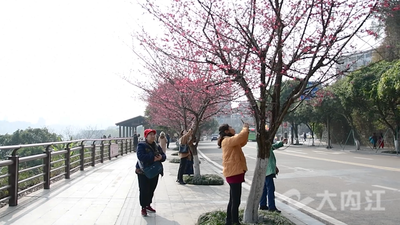 微信图片_20220214152358.png