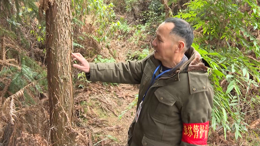 282035_1645495609749048.png 微信图片_20220222100022.png