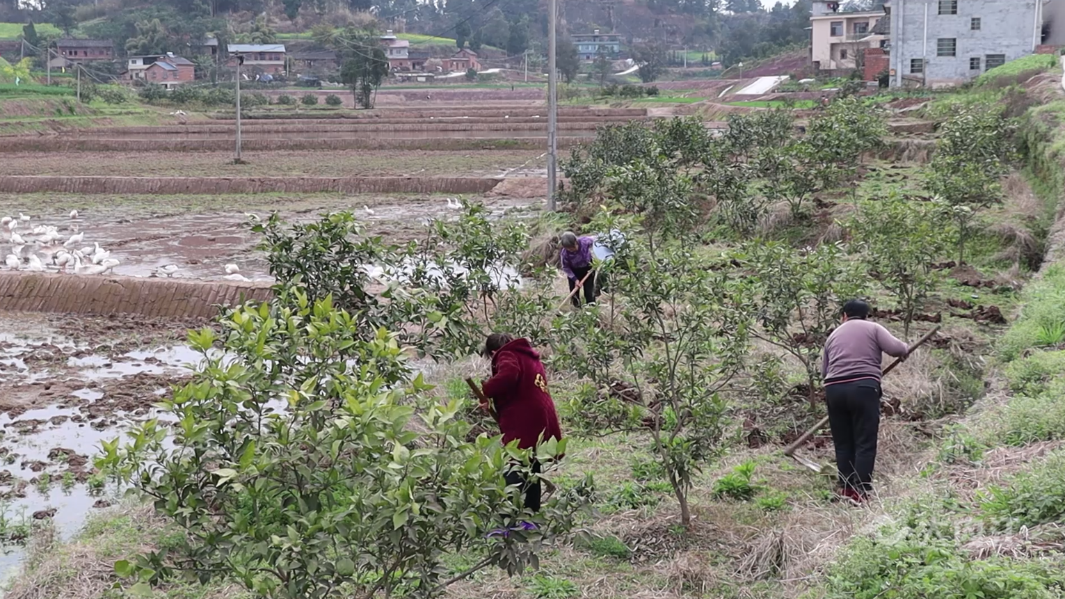 282126_1646376562839187.png 微信图片_20220304115302.png