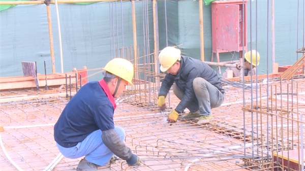 286033_1647229528131651.png 首席技师5.png