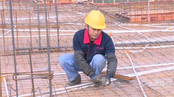 286033_1647229689324559.png 首席技师10.png