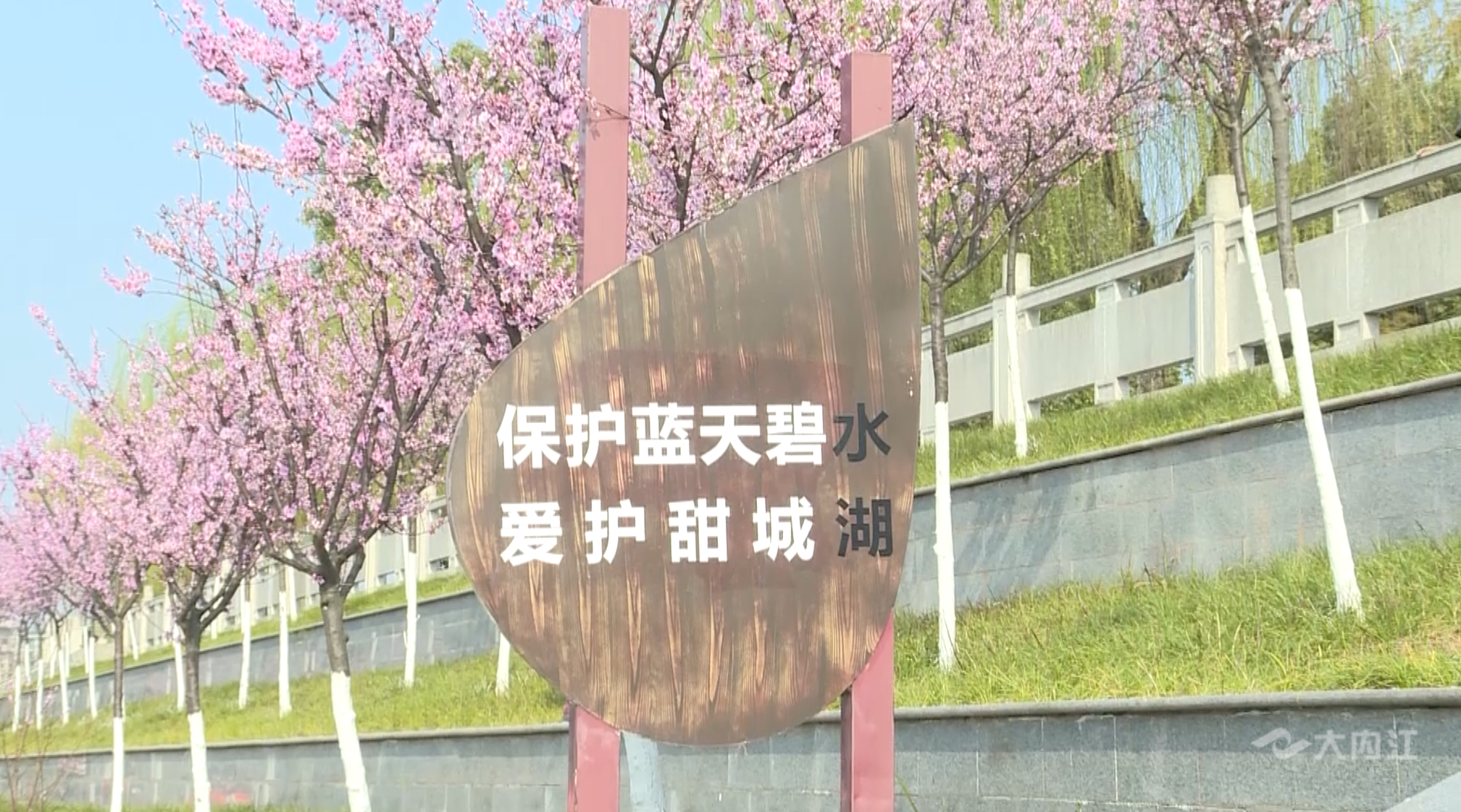 286144_1646451359314265.png 44.png