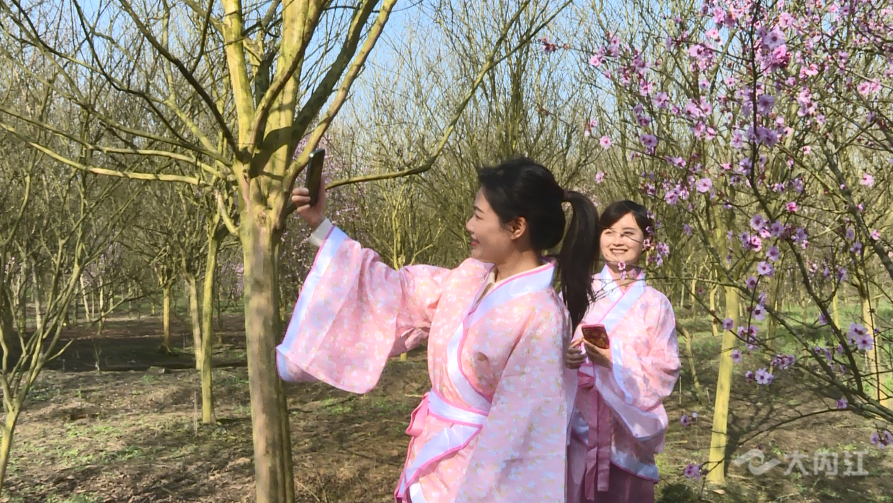 286144_1646790134693632.png 微信图片_20220309093529_副本.png