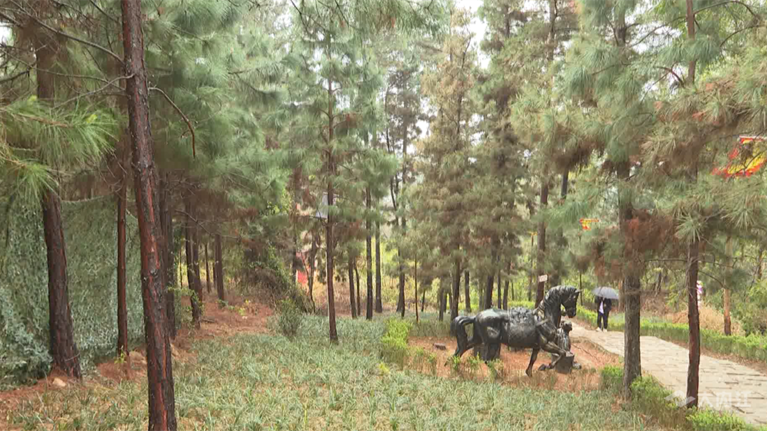 269955_1648868499768294.png 微信图片_202204021059552.png