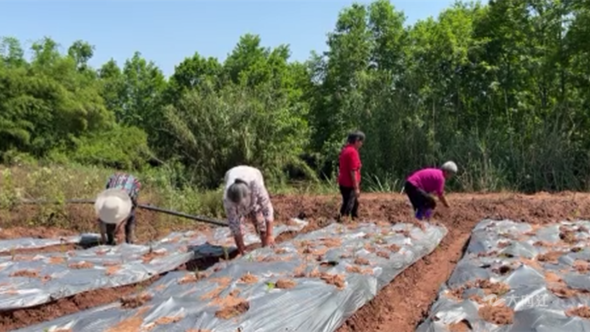 269955_1650956820291525.png 微信图片_202204261501082.png