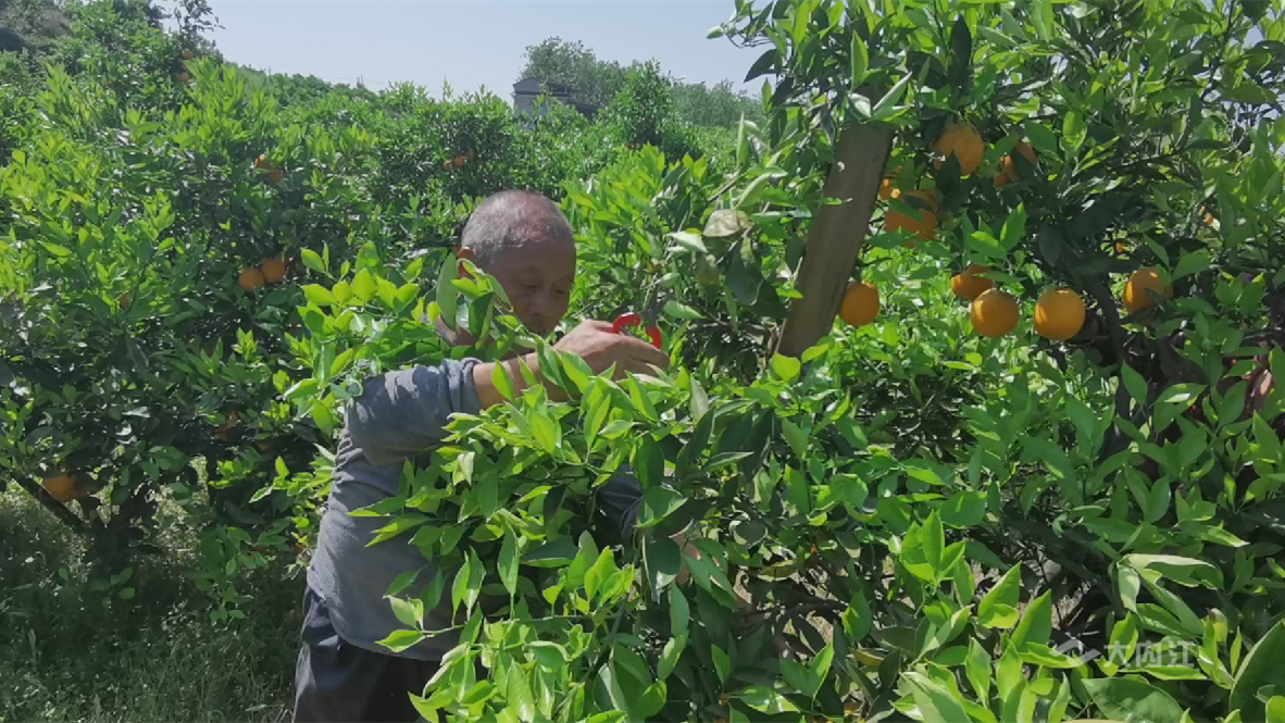 269955_1650960427650768.png 微信图片_202204261601473.png