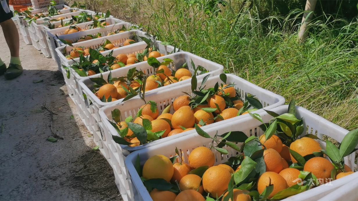 269955_1650960437756584.png 微信图片_202204261601472.png