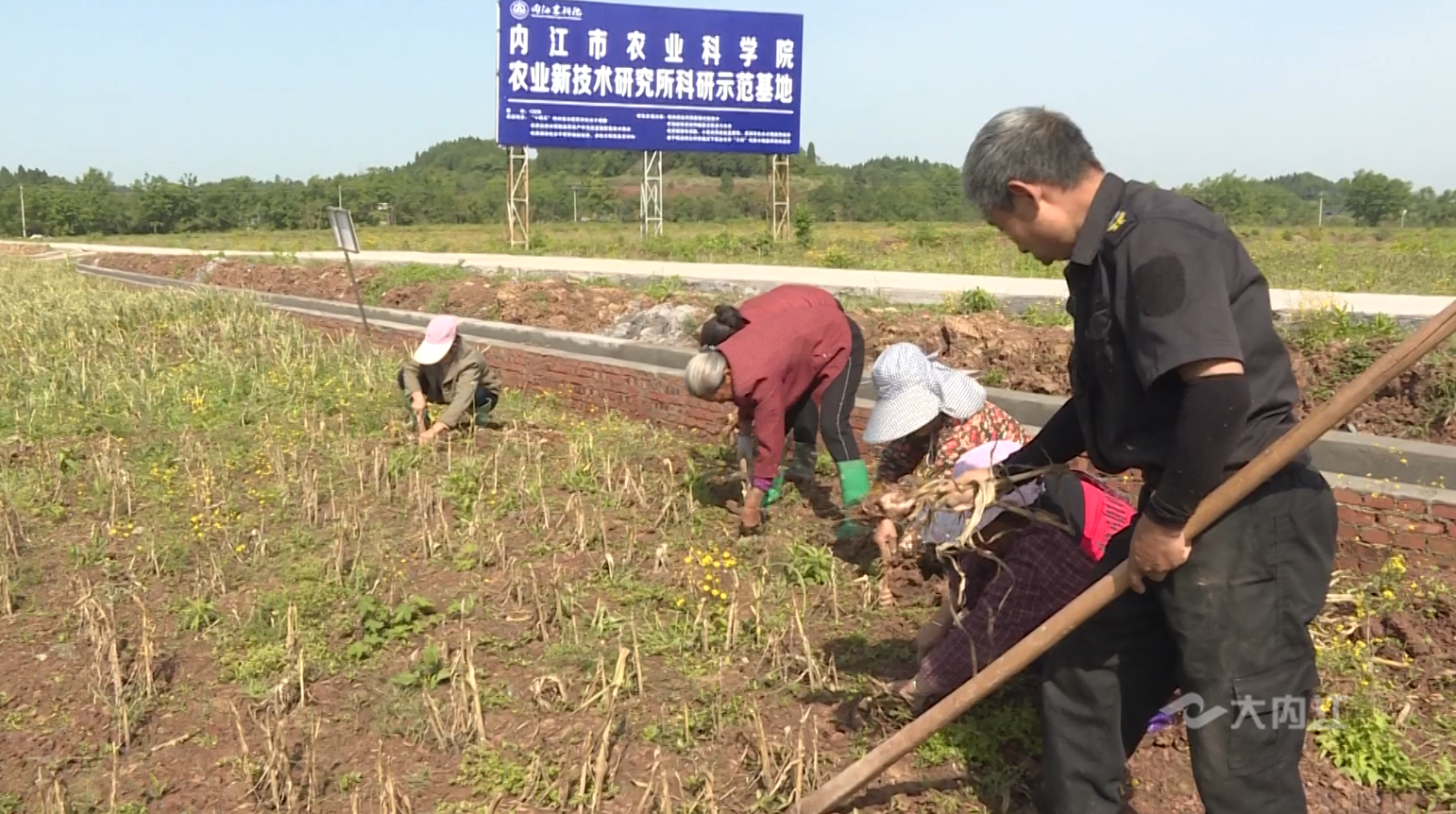 微信图片_20220420095006.png