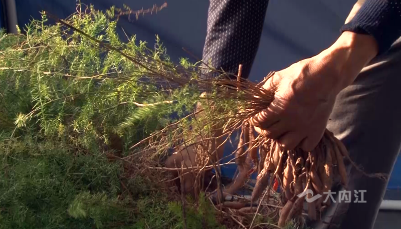 282126_1651023877371774.png 微信图片_20220427094221.png