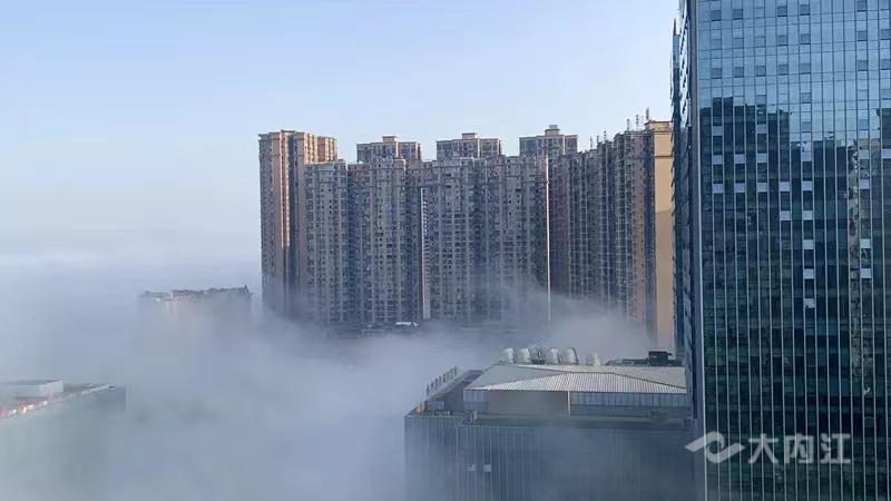 东兴区.jpg