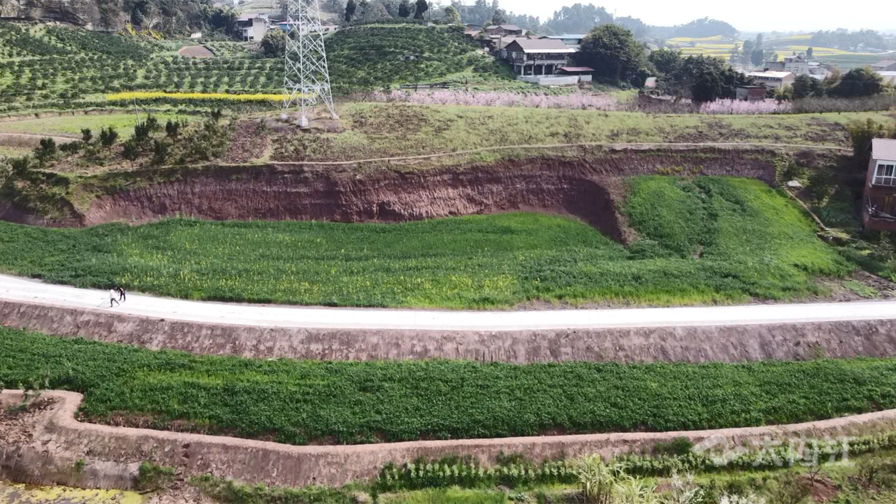 微信图片_20220419172657.png