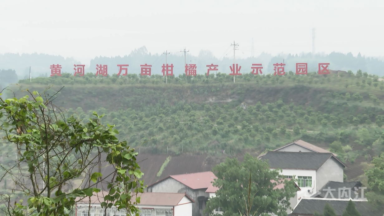 微信图片_20220419172723.png
