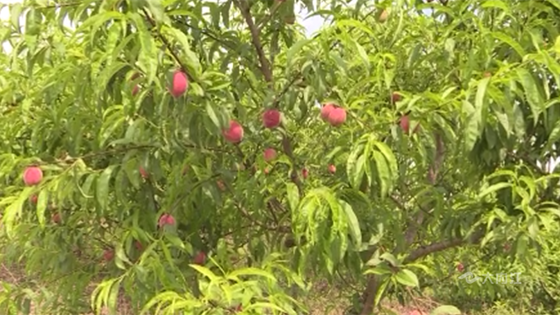 269955_1651740910371742.png 微信图片_202205051654092.png