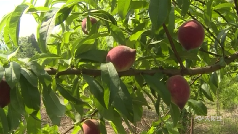 269955_1651740920951201.png 微信图片_202205051654091.png