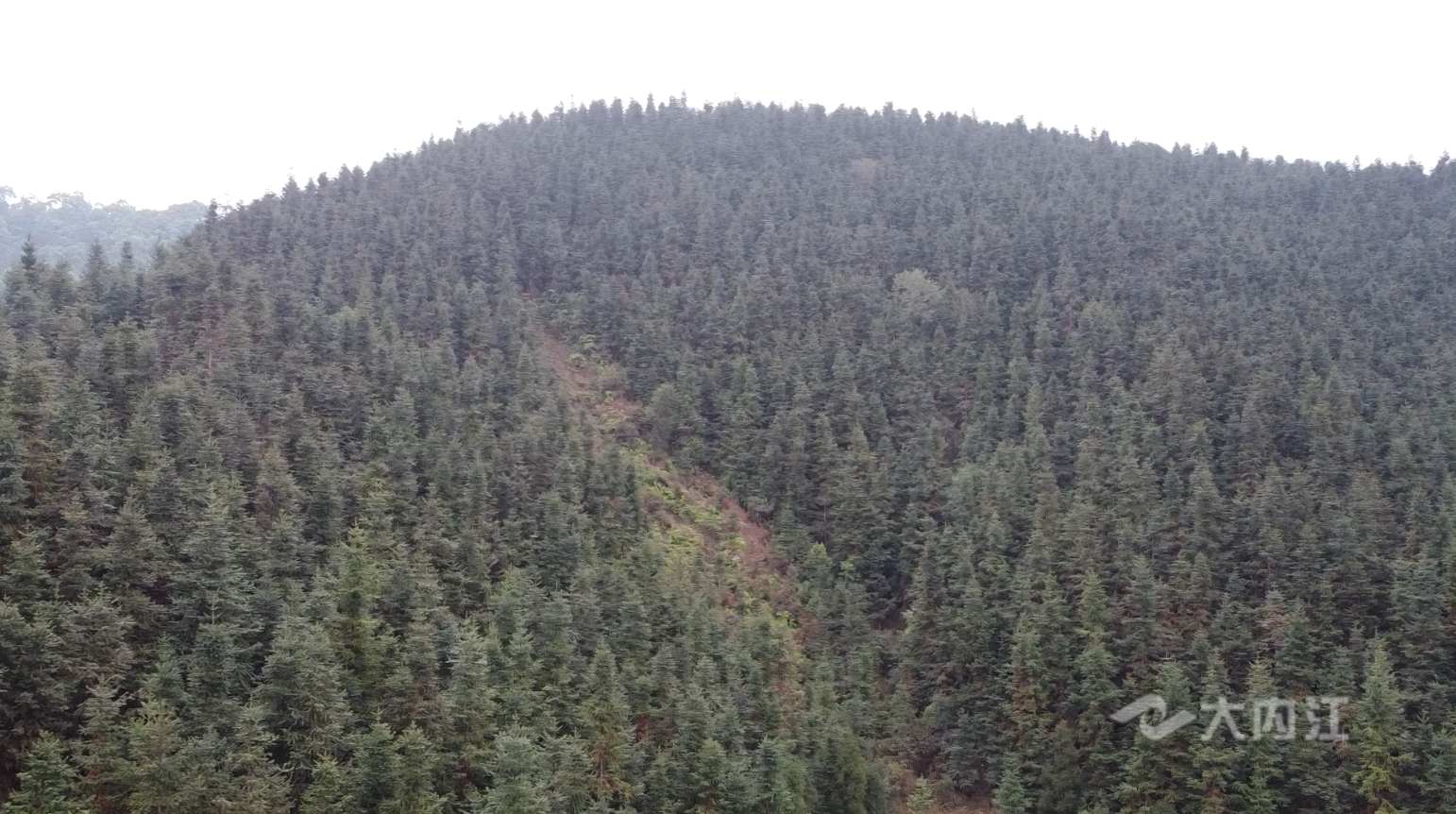 282126_1653450653274400.png 微信图片_20220525114646.png