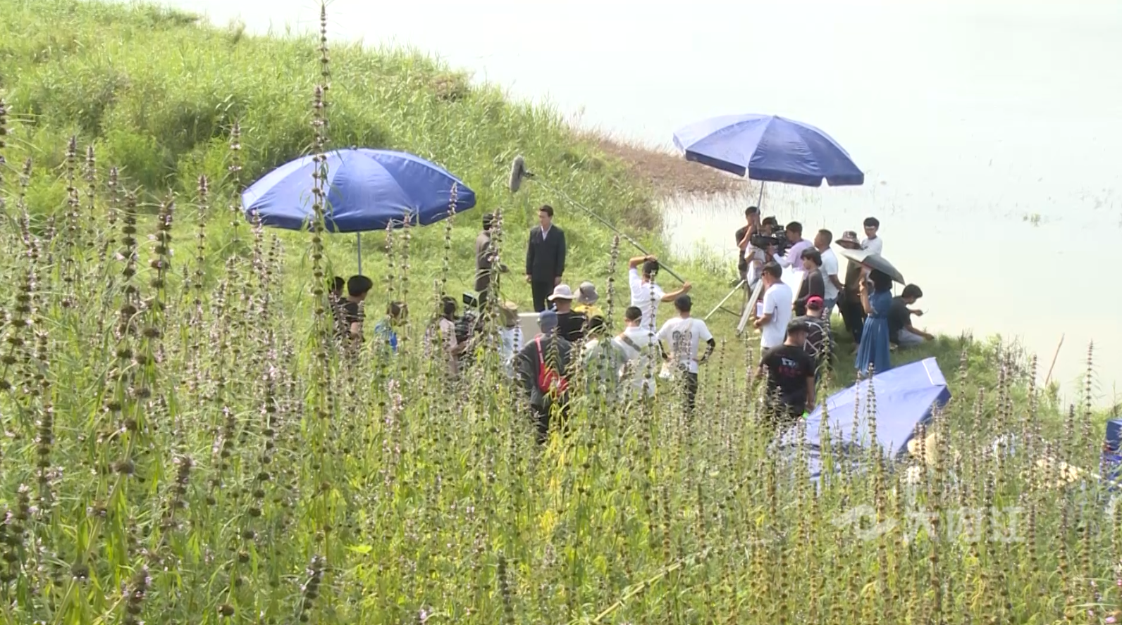 282126_1653980721735694.png 微信图片_20220531150357.png