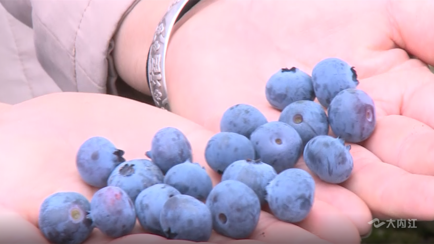 269955_1654053485790816.png 微信图片_202206011114011.png