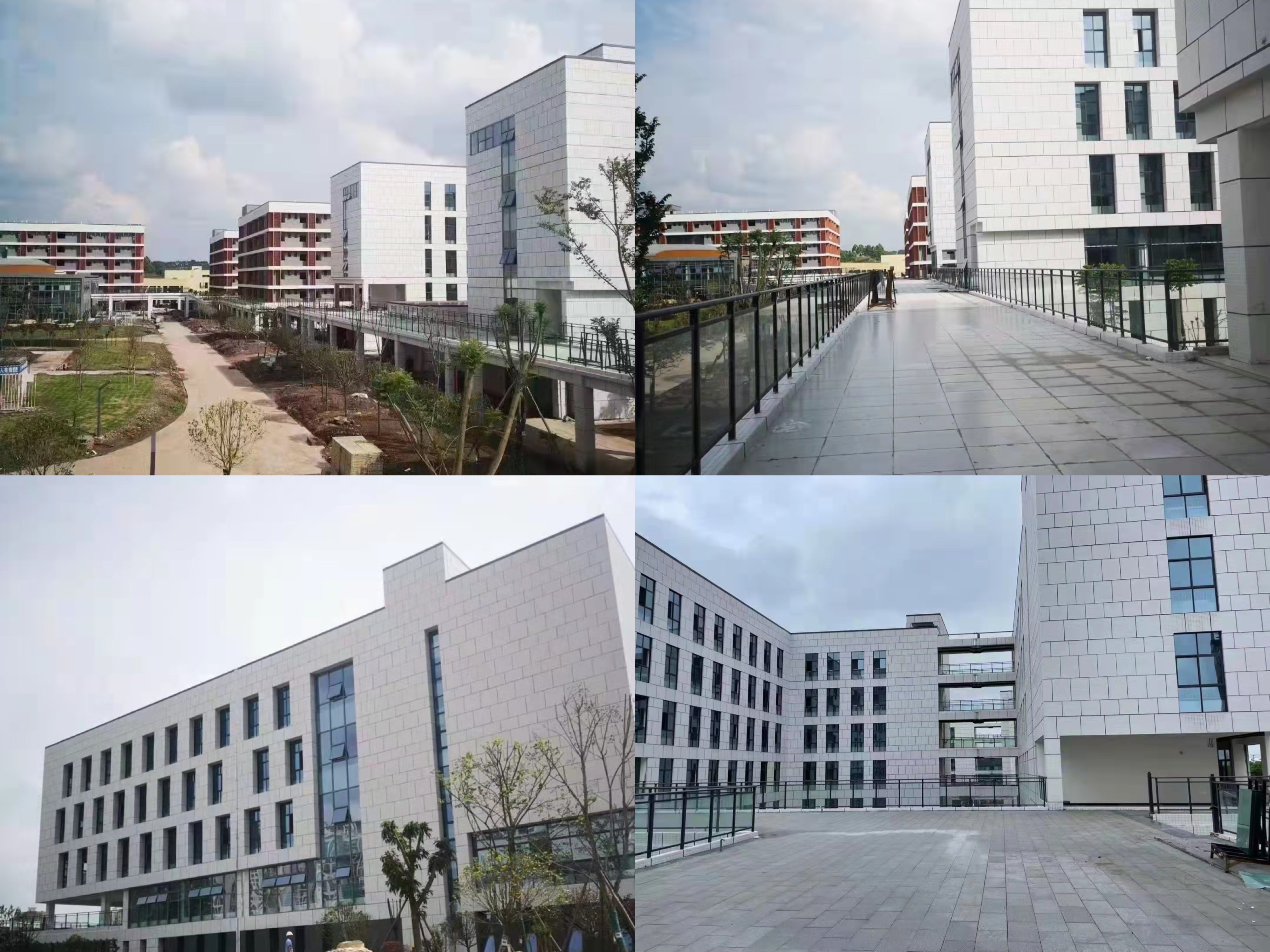 新校区.jpg