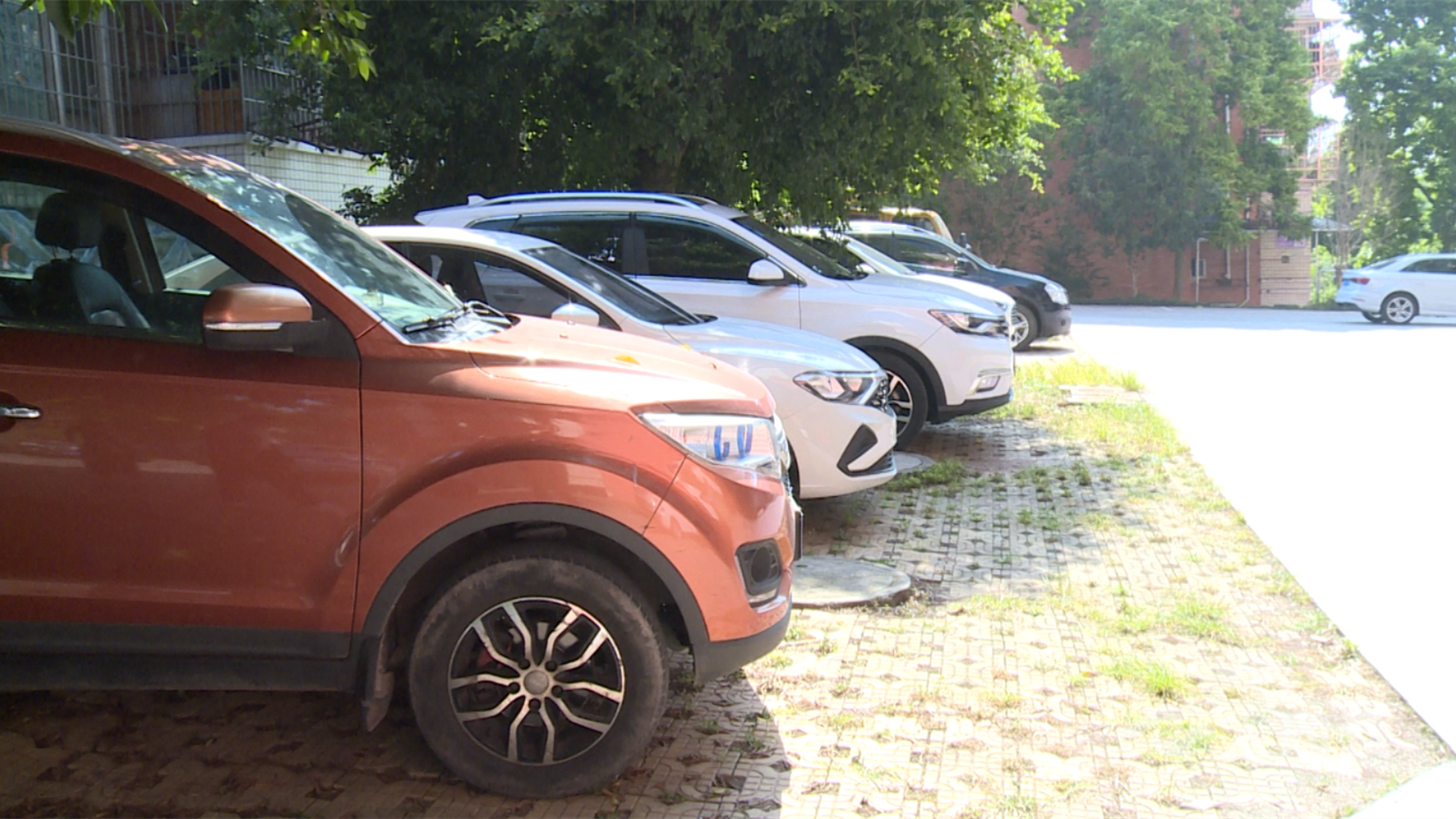 320608_1657530458517732.png X2.png