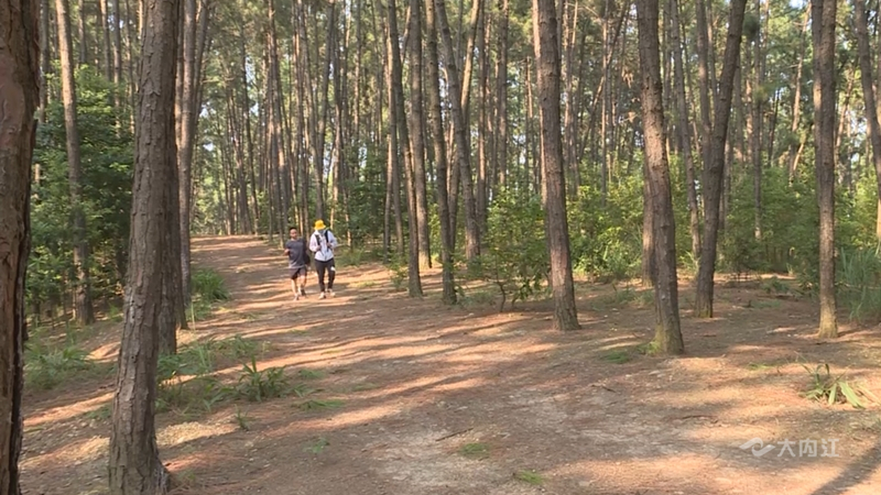 269955_1659514589931525.jpg 9b6ac574c4244ec0b620a6df230286e8_picturegroup_800_456_0.jpg