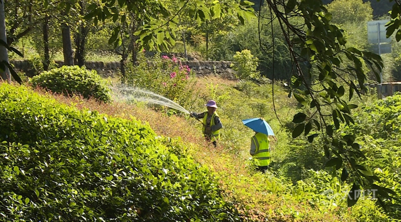 269955_1660364498278356.jpg 5d7d74161e584f5eb654e2197103a276_picturegroup_800_444_0.jpg