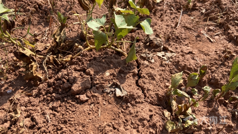 320608_1660813896203466.jpg 微信图片_20220818170837.jpg