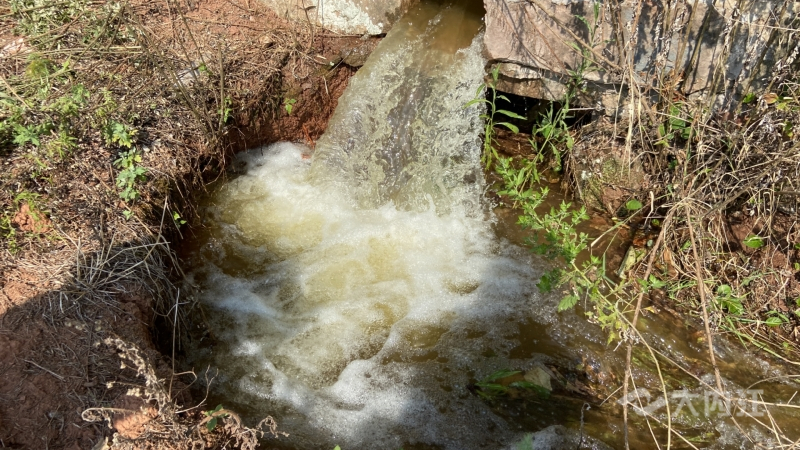 320608_1660813948681468.jpg 微信图片_20220818170834.jpg