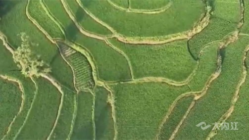 323896_1660641298685759.png 微信图片_20220816170421.png