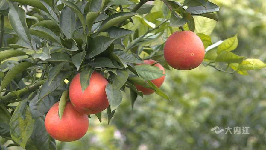 323896_1660642065270798.png 微信图片_20220816172735.png