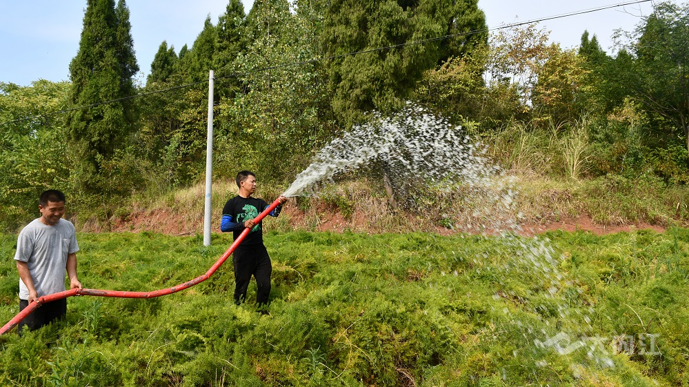 323896_1661159013771297.jpg 图片 (4).jpg