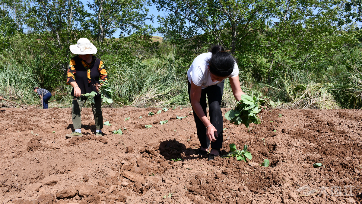 269955_1662433266319821.jpg 微信图片_20220906110024.jpg