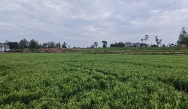 323896_1662002808771113.png 微信图片_20220901112630.png