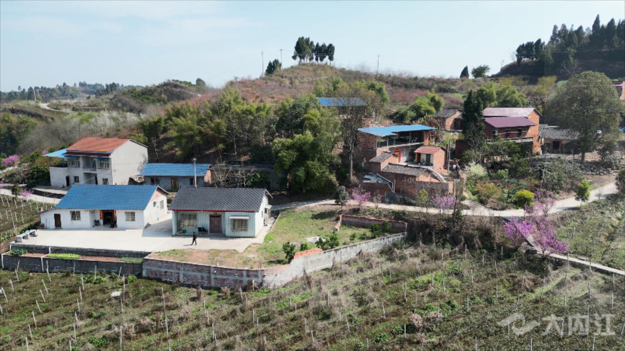 美乡优城进行时资中县陈家镇小积分换出乡村大文明